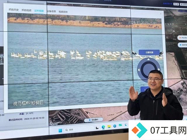 鸟儿报到,AI知晓 鸟儿报到,AI知晓