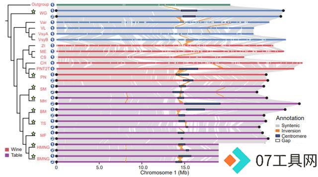 我国科学家提出人工智能推动葡萄育种新方法 我国科学家提出人工智能推动葡萄育种新方法