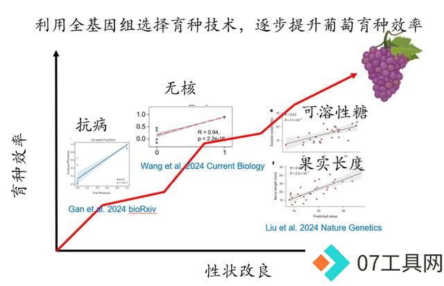 我国科学家提出人工智能推动葡萄育种新方法 我国科学家提出人工智能推动葡萄育种新方法