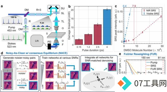 科学家用AI开发受激拉曼纳米成像技术,分辨率可达86纳米 科学家用AI开发受激拉曼纳米成像技术,分辨率可达86纳米