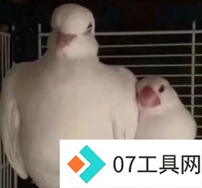 谷歌爆款学习神器更新,一键插嘴AI对话,哪里不会问哪里 谷歌爆款学习神器更新,一键插嘴AI对话,哪里不会问哪里