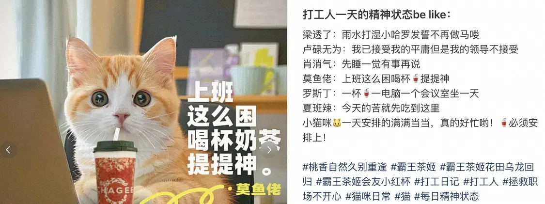 让千万网友着迷的 AI 巫师猫,凭什么成为小红书和 Instagram 的新顶流 让千万网友着迷的 AI 巫师猫,凭什么成为小红书和 Instagram 的新顶流