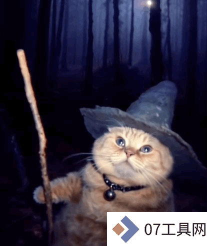 让千万网友着迷的 AI 巫师猫,凭什么成为小红书和 Instagram 的新顶流 让千万网友着迷的 AI 巫师猫,凭什么成为小红书和 Instagram 的新顶流