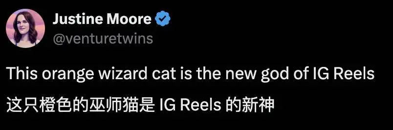 让千万网友着迷的 AI 巫师猫,凭什么成为小红书和 Instagram 的新顶流 让千万网友着迷的 AI 巫师猫,凭什么成为小红书和 Instagram 的新顶流