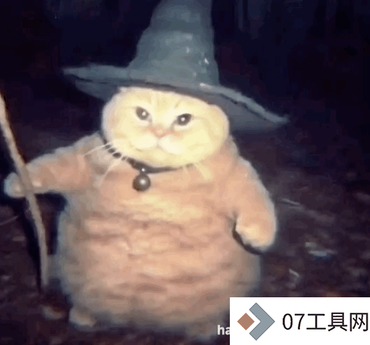 让千万网友着迷的 AI 巫师猫,凭什么成为小红书和 Instagram 的新顶流 让千万网友着迷的 AI 巫师猫,凭什么成为小红书和 Instagram 的新顶流