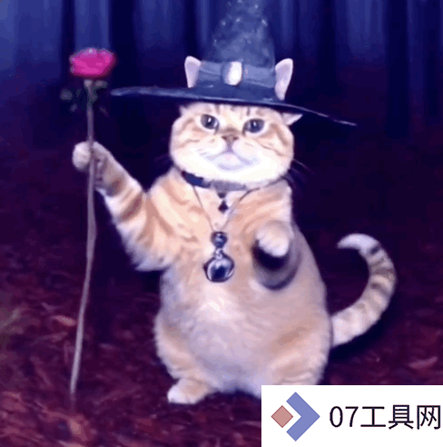 让千万网友着迷的 AI 巫师猫,凭什么成为小红书和 Instagram 的新顶流 让千万网友着迷的 AI 巫师猫,凭什么成为小红书和 Instagram 的新顶流