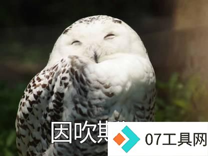 8岁女孩用AI编程工具45分钟造聊天机器人,Cursor引爆全网 8岁女孩用AI编程工具45分钟造聊天机器人,Cursor引爆全网