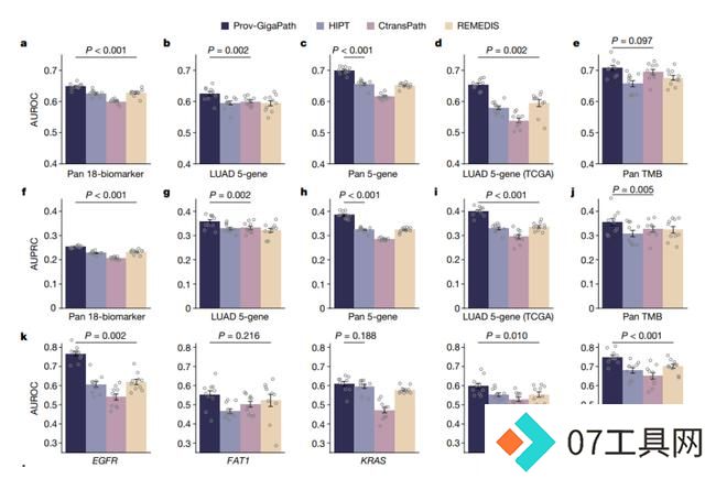 AI病理学大模型革新癌症诊断,科学家揭秘技术突破 AI病理学大模型革新癌症诊断,科学家揭秘技术突破