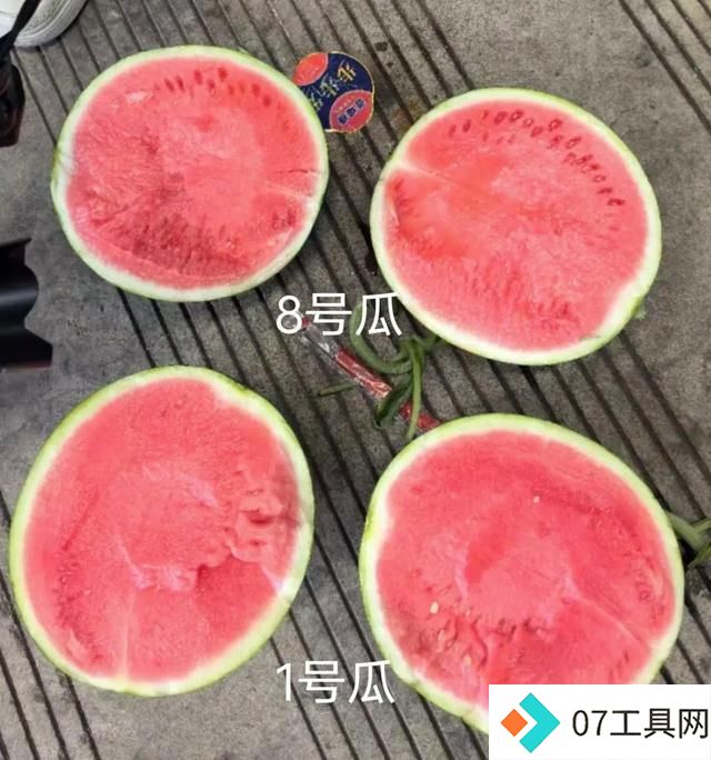 AI挑西瓜靠谱吗?记者实测被震惊:这结局真猜不到! AI挑西瓜靠谱吗?记者实测被震惊:这结局真猜不到!