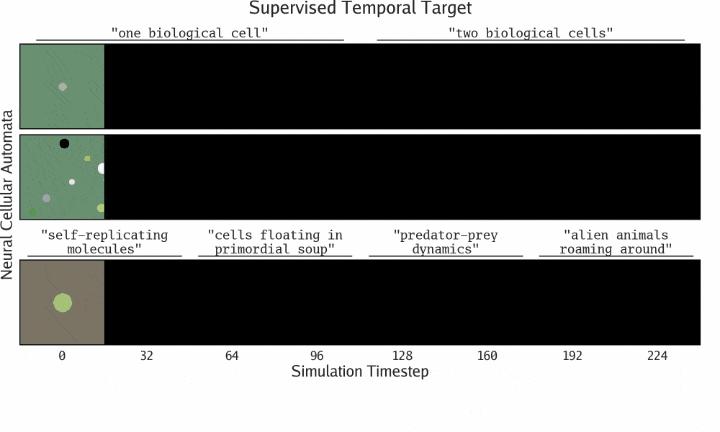 MIT、OpenAI等震撼力作：AI自主发现人工生命！人类窥见上帝造物