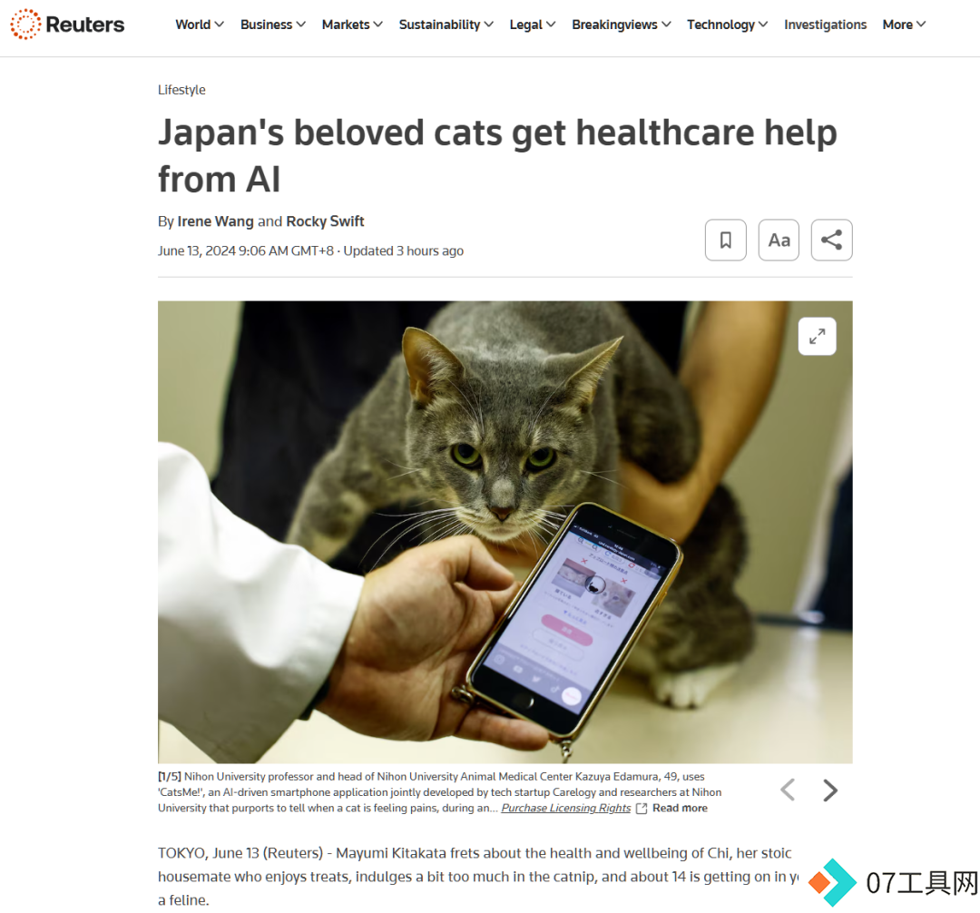 养猫必备！Carelogy推出AI应用，帮助主人了解疼痛信号